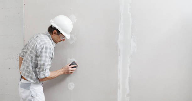 Best Wallpaper Removal and Painting  in White Hall, WV